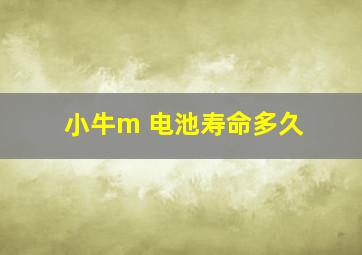 小牛m 电池寿命多久